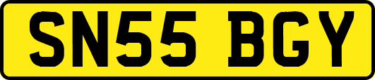 SN55BGY