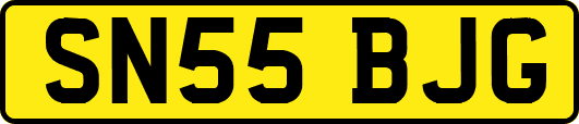 SN55BJG