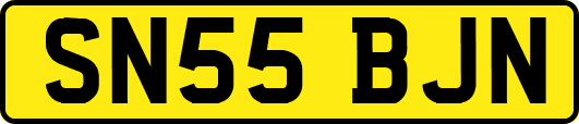 SN55BJN