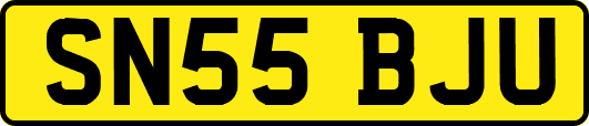 SN55BJU