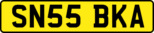 SN55BKA