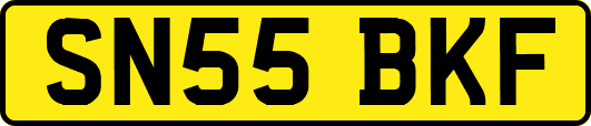 SN55BKF