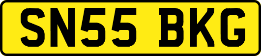 SN55BKG
