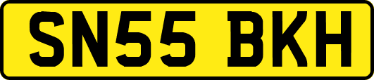 SN55BKH