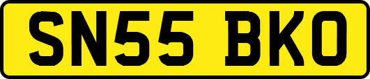 SN55BKO