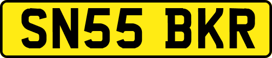 SN55BKR