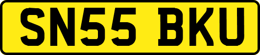 SN55BKU