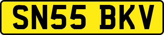 SN55BKV