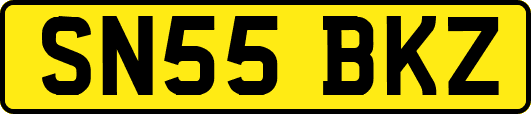 SN55BKZ