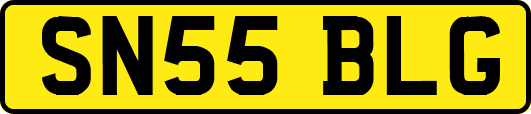 SN55BLG