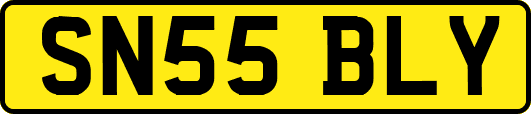 SN55BLY