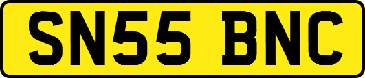 SN55BNC