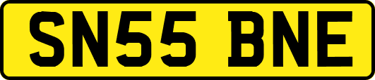 SN55BNE