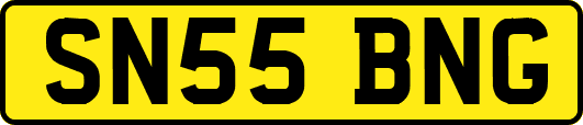 SN55BNG