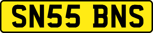 SN55BNS
