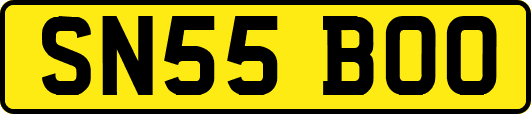 SN55BOO