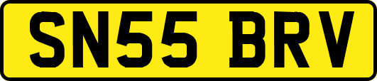 SN55BRV