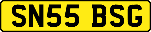 SN55BSG