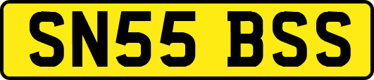 SN55BSS
