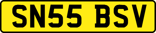 SN55BSV