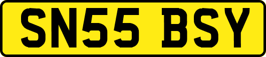 SN55BSY