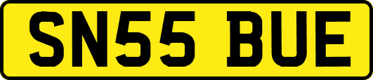 SN55BUE