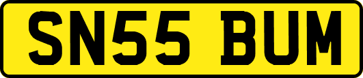SN55BUM