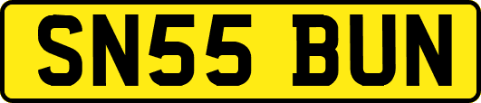 SN55BUN
