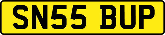 SN55BUP