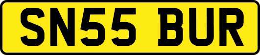 SN55BUR