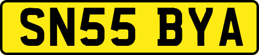 SN55BYA