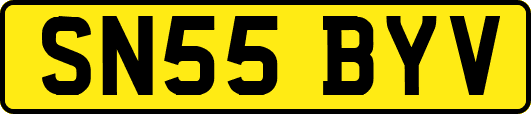 SN55BYV