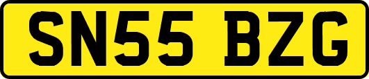 SN55BZG