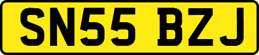 SN55BZJ
