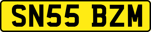 SN55BZM