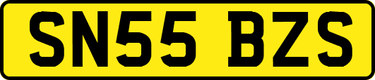 SN55BZS