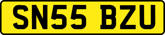 SN55BZU