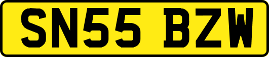 SN55BZW