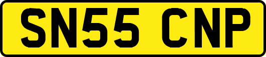 SN55CNP