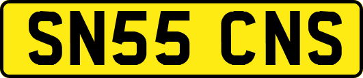 SN55CNS