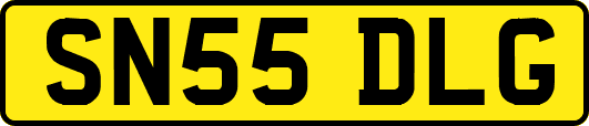 SN55DLG