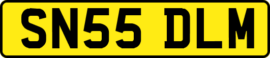 SN55DLM