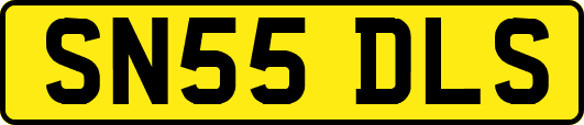 SN55DLS