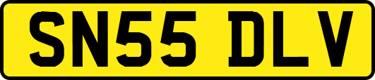 SN55DLV