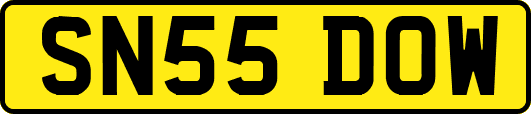 SN55DOW