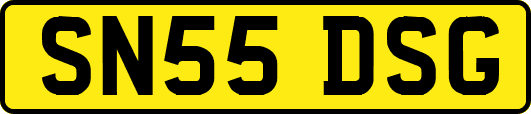SN55DSG