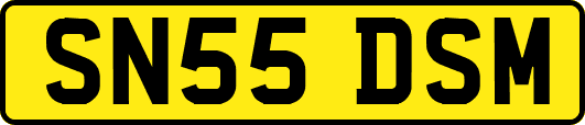 SN55DSM
