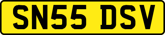 SN55DSV