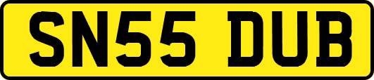 SN55DUB