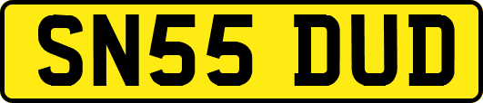 SN55DUD